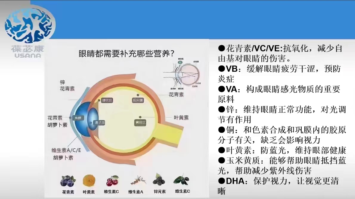 眼睛都需要哪些营养？