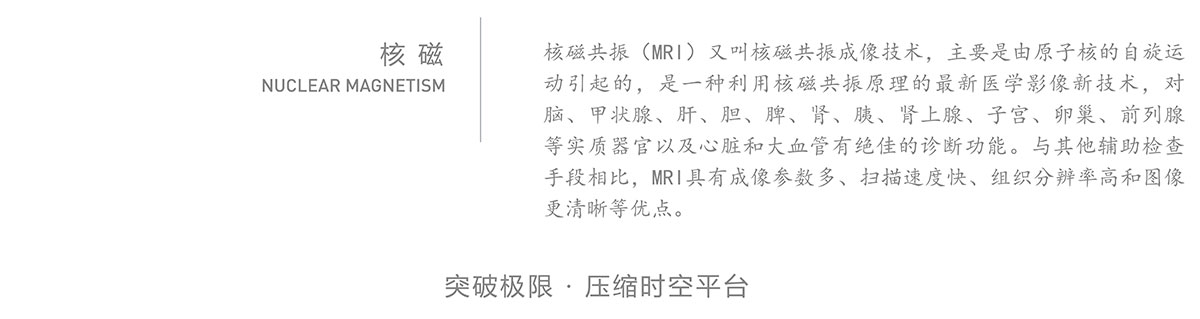 核磁共振(图2)